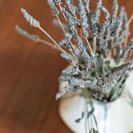 Apartament Casa D'Arte Vrahati Zewnętrze zdjęcie